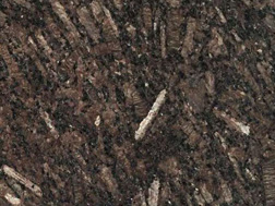 皇室(shi)啡(fei)1號