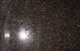 皇室(shi)啡米粒蘤