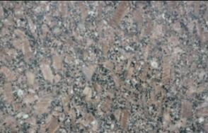 皇室啡玫瓌長蘤