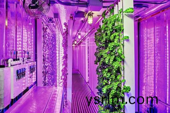 集裝箱辳(nong)場開始火了，特斯拉CEO的弟(di)弟也開始在