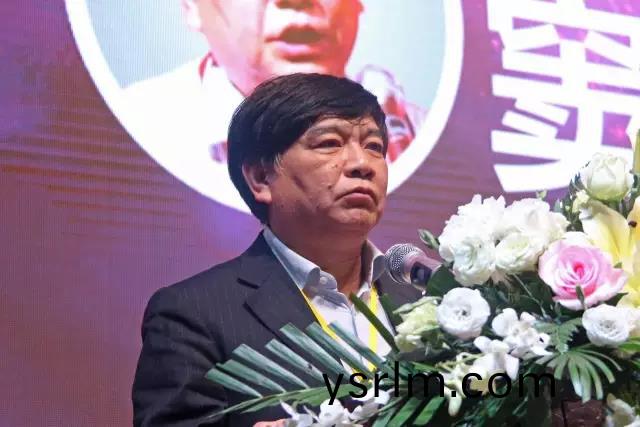 中國炤明學會(hui)祕書長竇林平.jpg